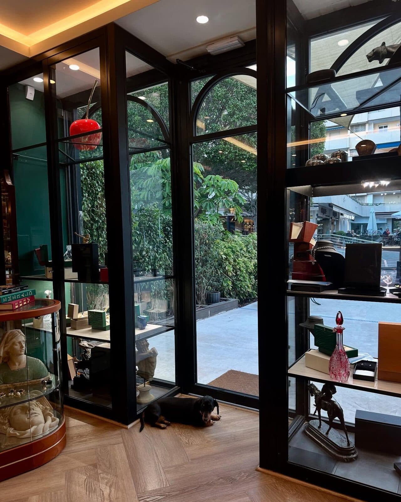 Tall glass cabinets by the door of the Puerto Banus shop, with a dachshund asleep on the floor.