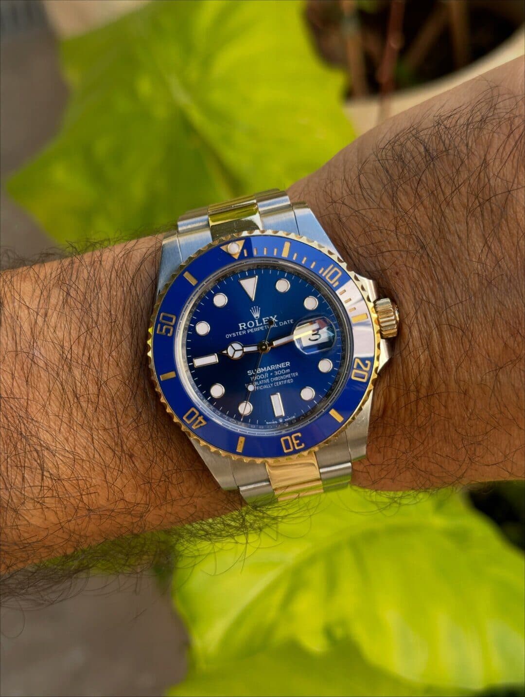 A watch with a blue dial on a wrist, with leaves behind.